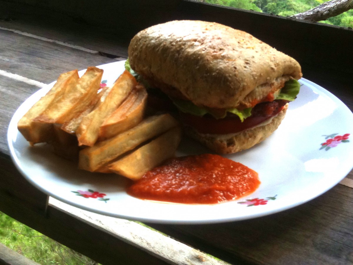 Gaia cafe burger and fries