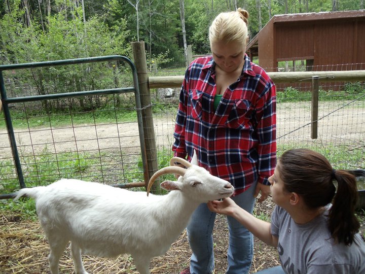 farm sanctuary volunteers