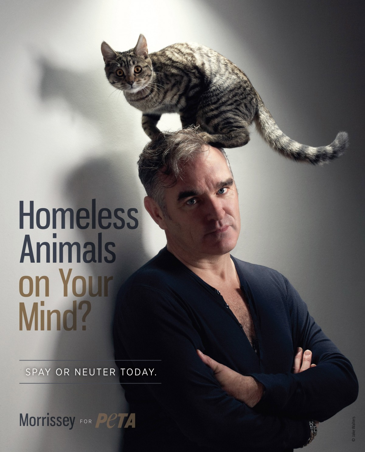 Rock Icon Morrissey Promotes Spaying and Neutering