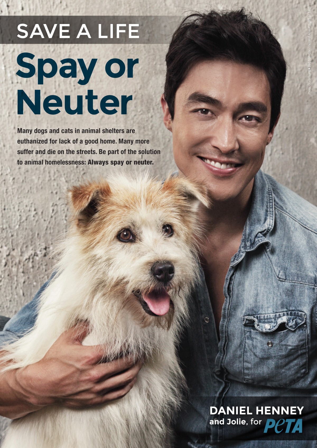 Daniel Henney Fights Against Animal Homelessness in New PETA Ads