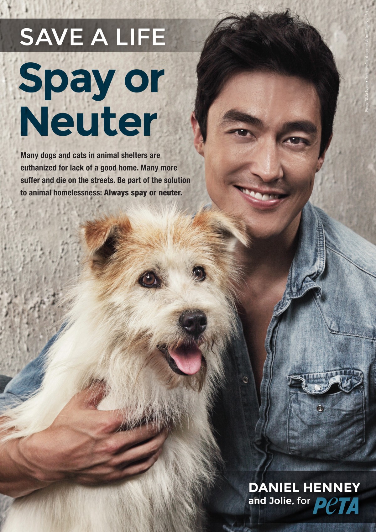 Daniel Henney Fights Against Animal Homelessness in New PETA Ads Daniel Henney Fights Against Animal Homelessness in New PETA Ads