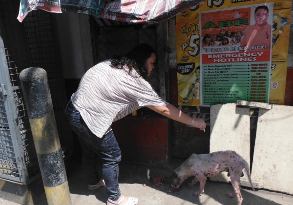 PETA Aids Animals in War-Torn Zamboanga