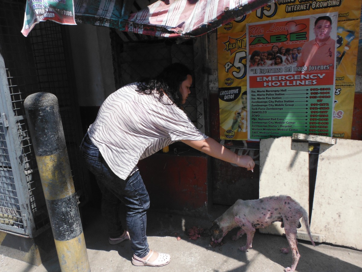 Zamboanga Crisis animal rescue