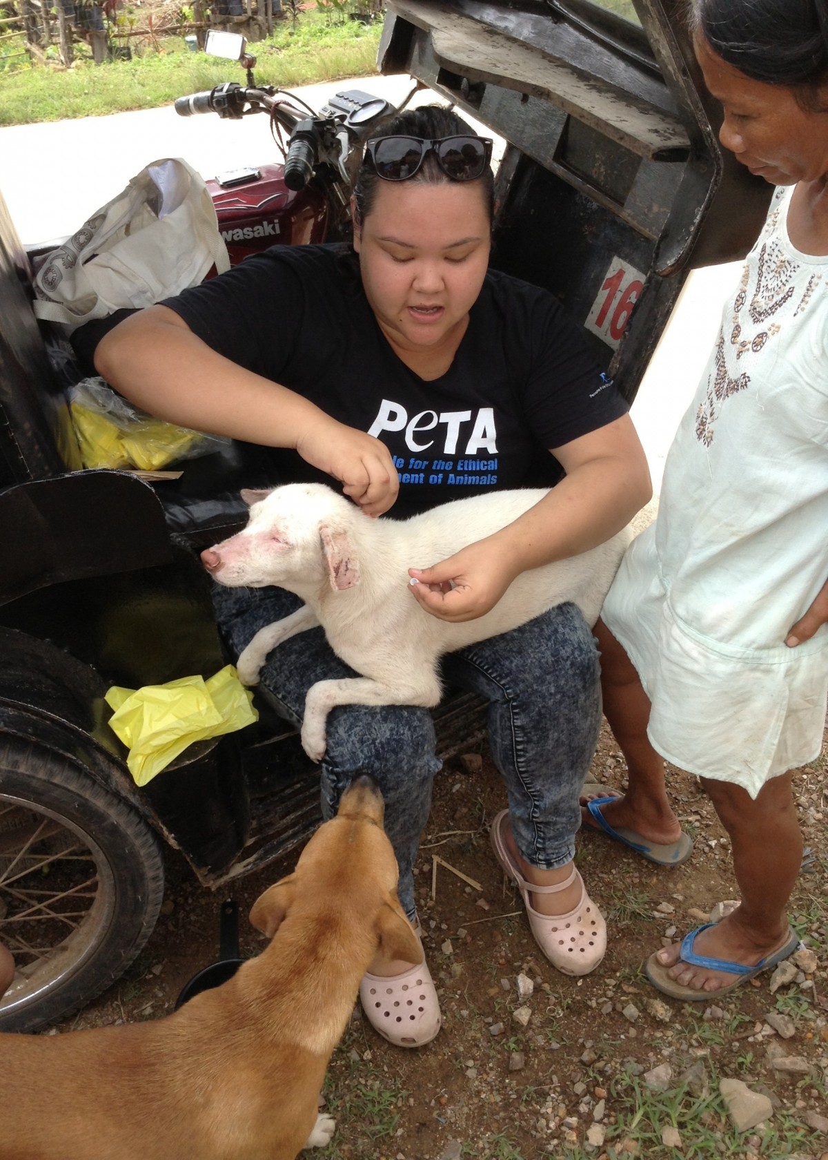 peta disaster relief palawan