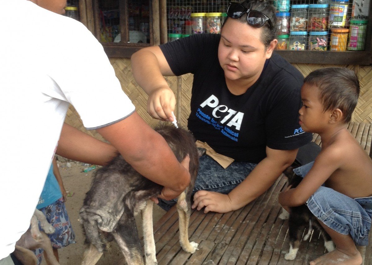 peta disaster relief palawan