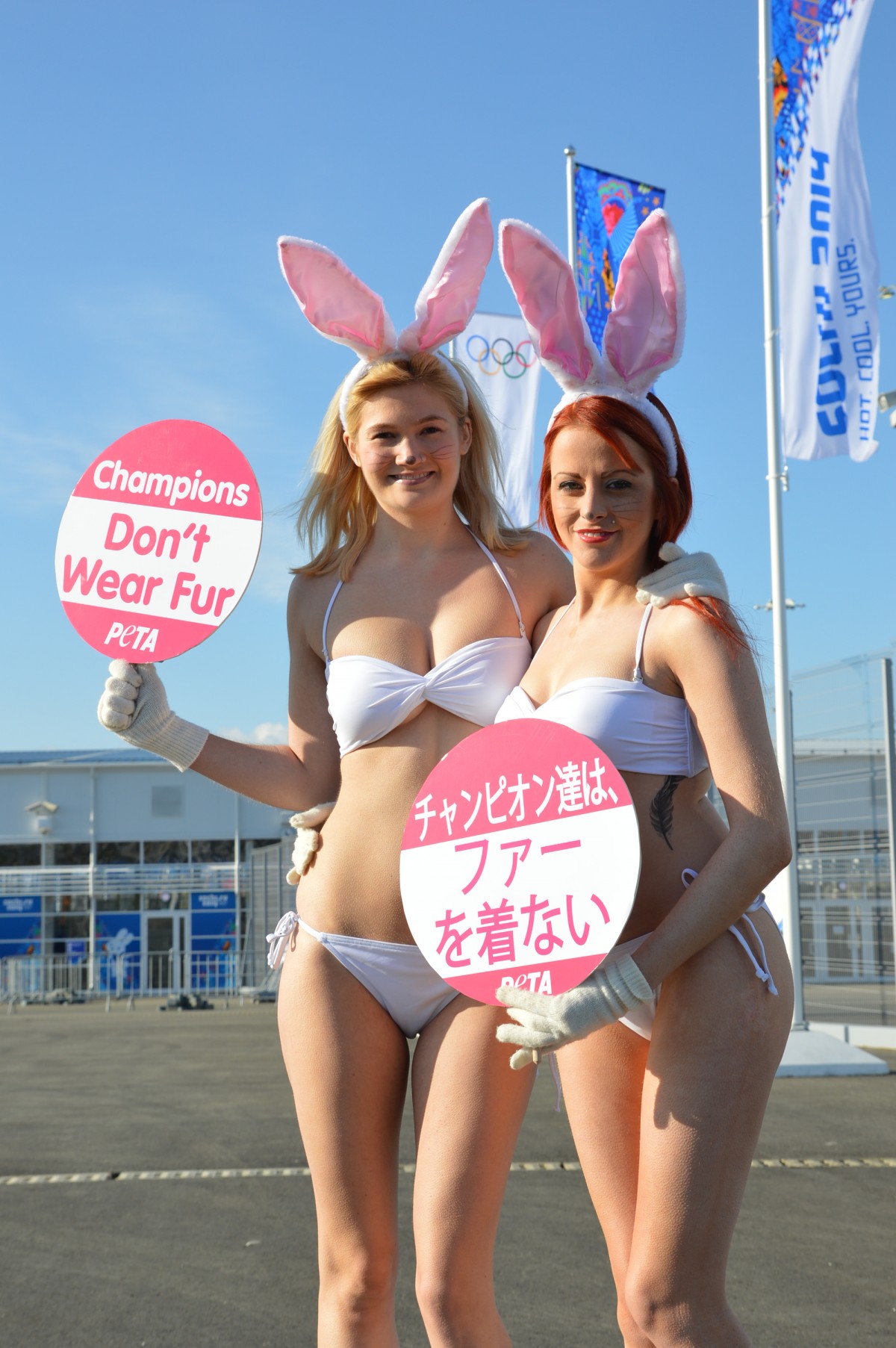 Sochi rabbit protest