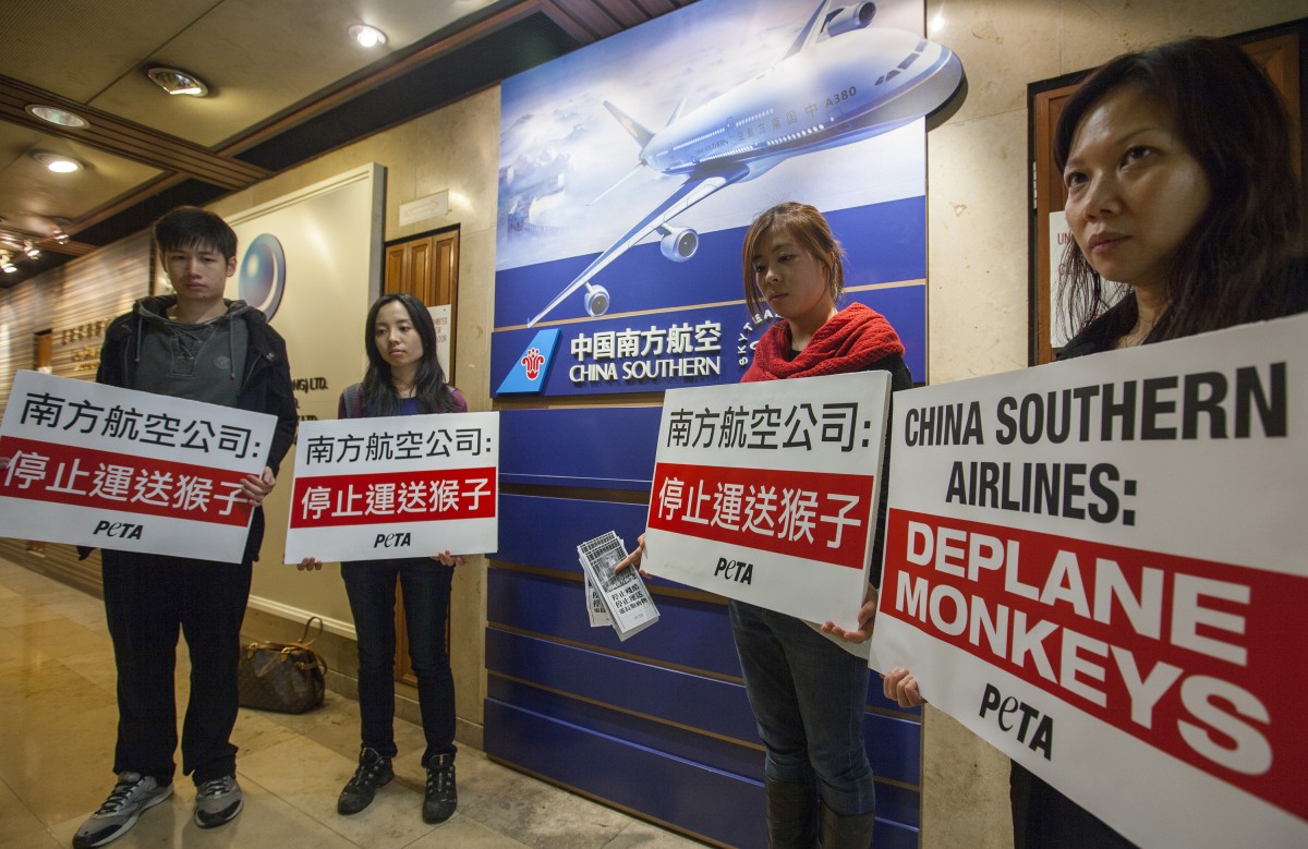 China Southern protest Hong Kong