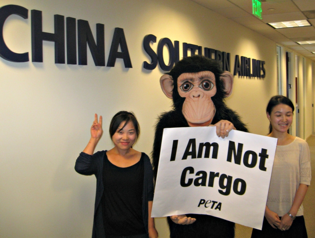 China Southern protest at LAX