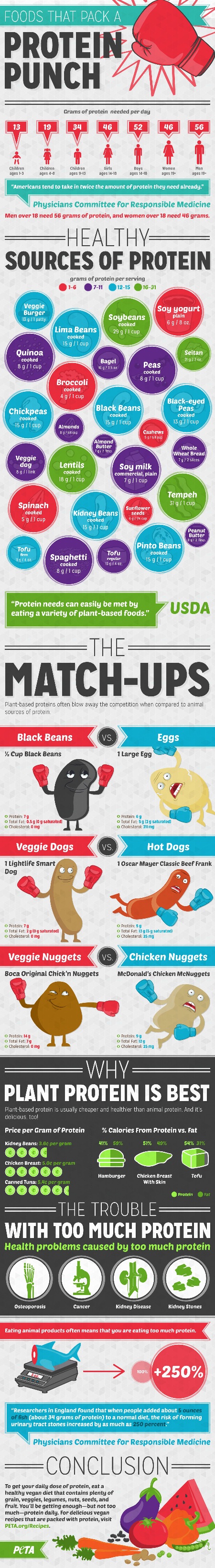 Protein infographic