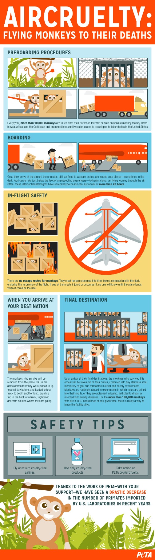 air-cruelty-infographic