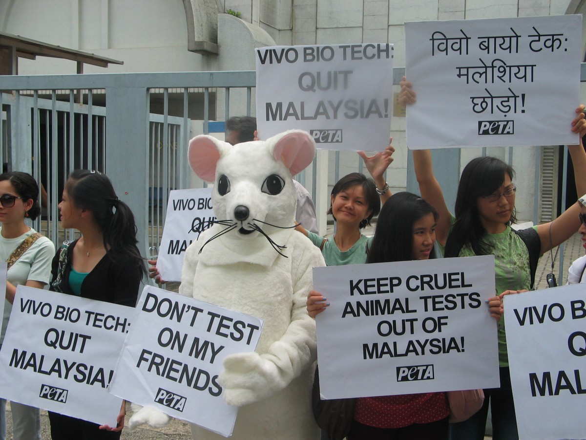 Rat Malaysia Protest