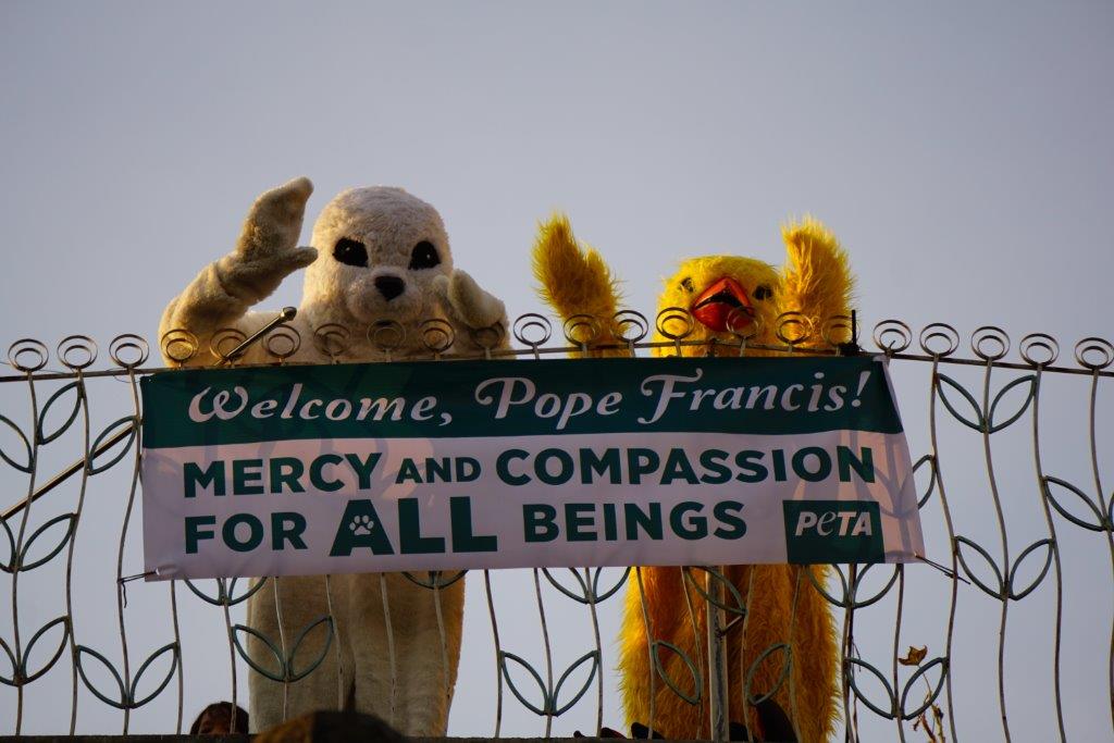 PETA’s Herd Of ‘Animals’ Greets Pope Francis