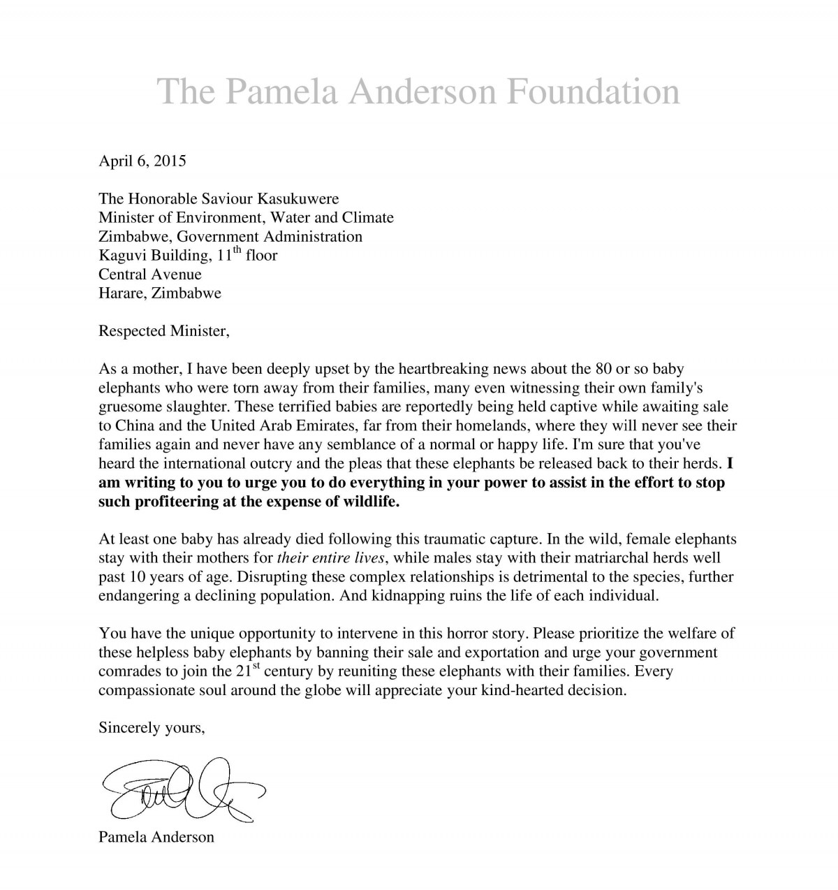 pamela anderson zimbabwe letter