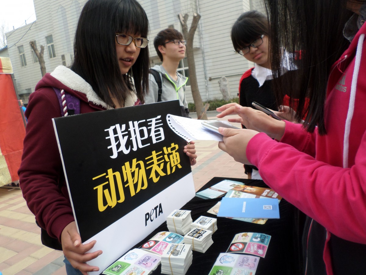PETA Asia Takes Shocking Exhibit to Chinese Colleges