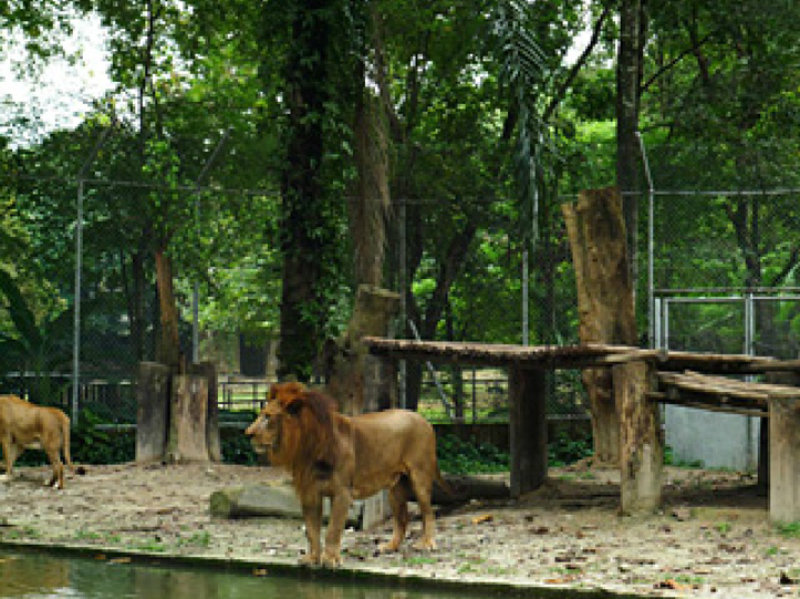 Zoo Negara: An Out-of-Date Facility