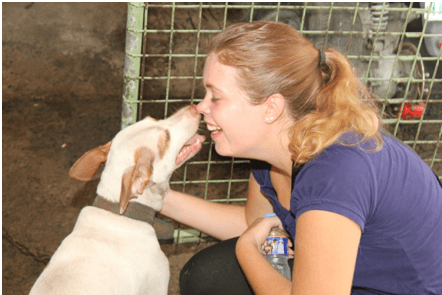 Briony spends time with Christmas, a chained dog, while volunteering for Pasay Pups, a group created by a PETA Asia staffer that helps Manila’s homeless dogs.