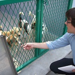 PETA Asia-Pacific Director Jason Baker toured the new Nanjing shelter.