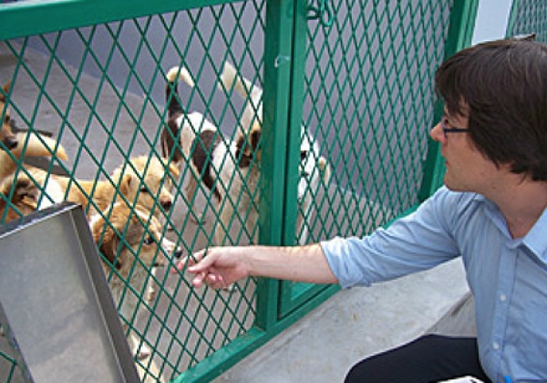 Update: PETA Teams Up With China to Improve Dogs’ Lives