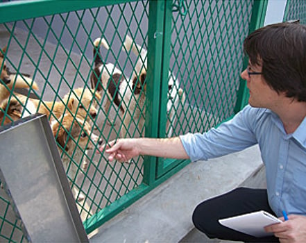 PETA Asia-Pacific Director Jason Baker toured the new Nanjing shelter.