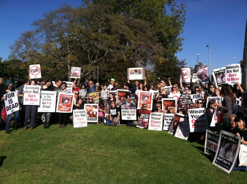 fur-free-friday-demonstration-1024x764