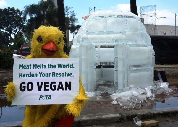 Melting Igloo Confronts APEC Leaders in Manila: Fight Climate Change With Diet Change