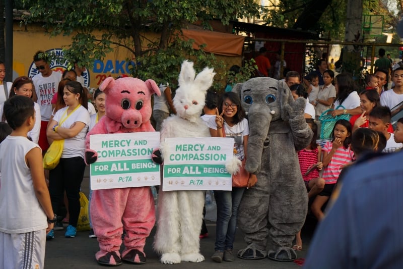 PETA Asia welcoming Pope Francis when he visited the Philippines.