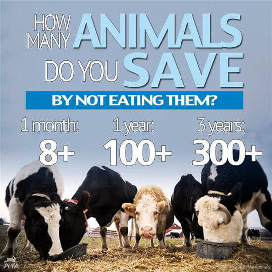 PETA-US-How-Many-Animals-Have-You-Saved