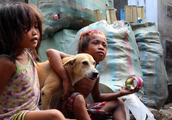 VIDEO: How PETA Is Saving Lives in a Cemetery in the Philippines   