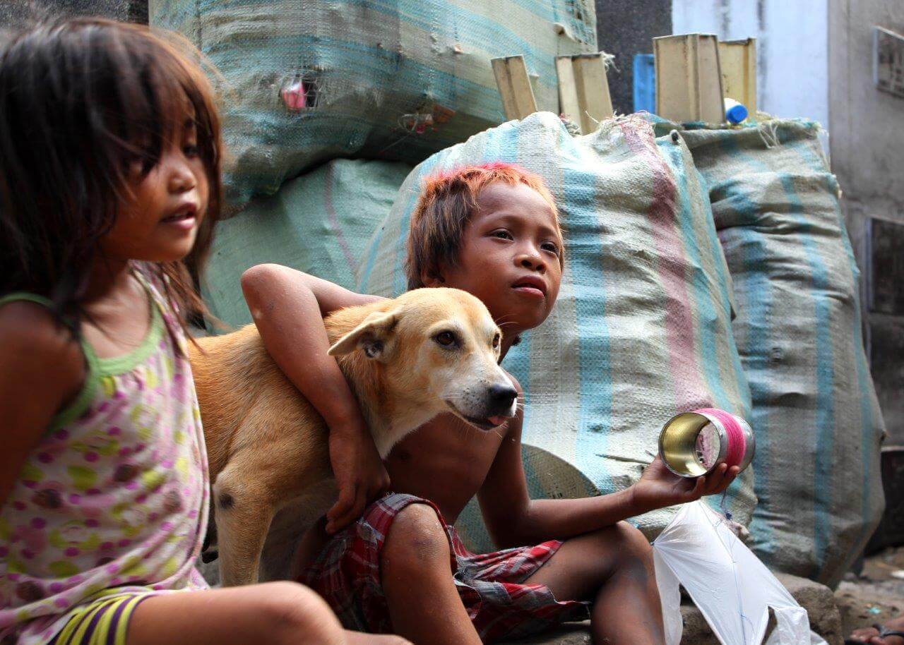 VIDEO: How PETA Is Saving Lives in a Cemetery in the Philippines   