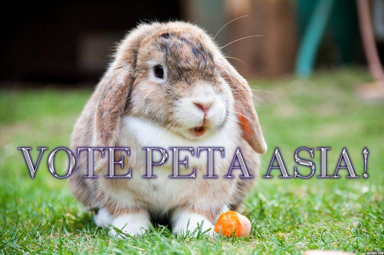 Help PETA Asia #WinTheJackpot