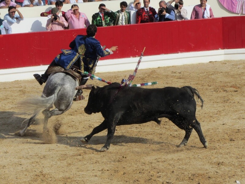 bull-fighting-1080924