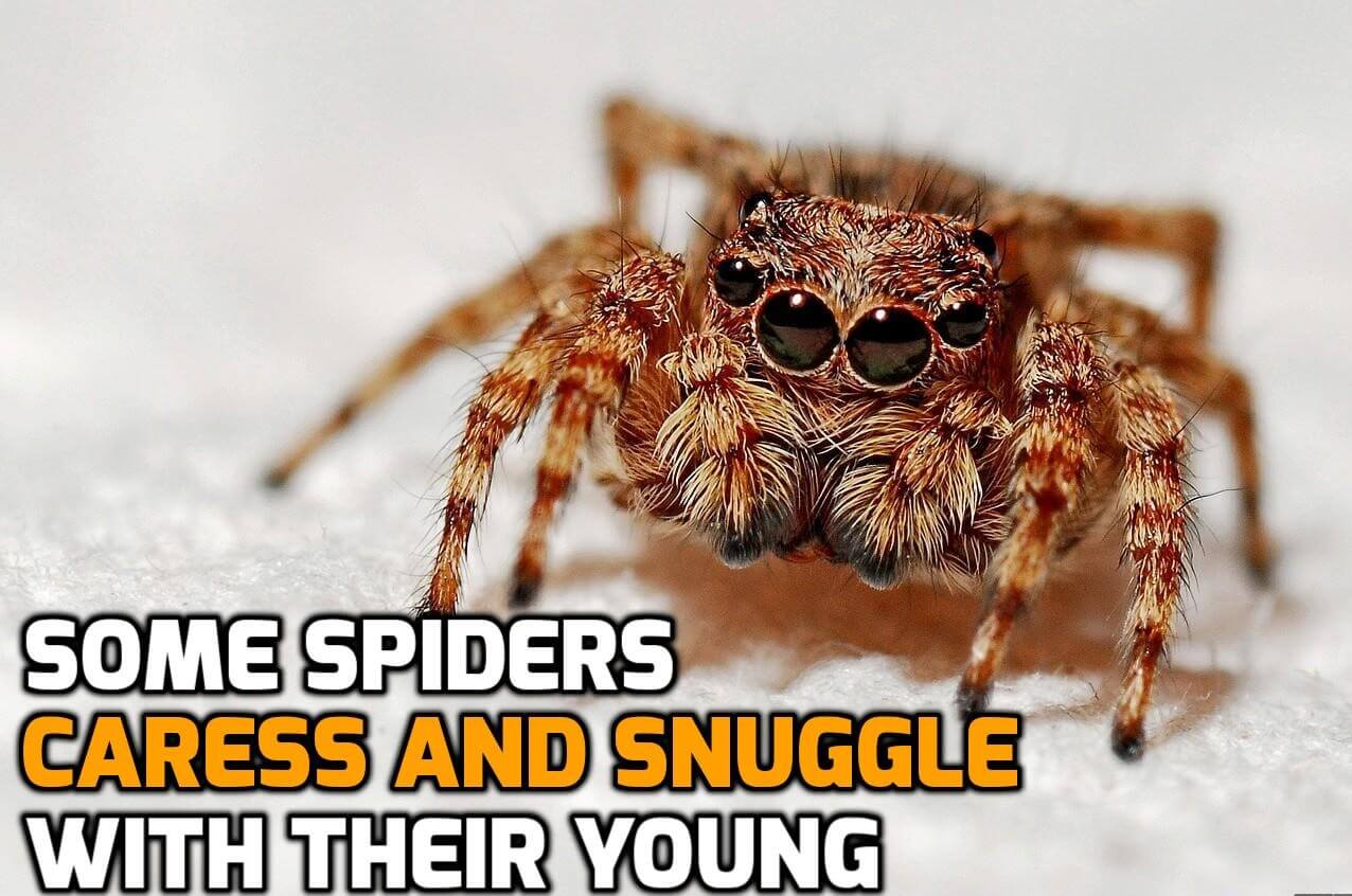 This ones called spiders 🕷️ #onmyfacetheyarestilltogether #sadsong #d