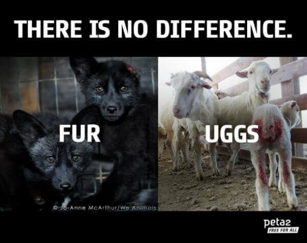 3 Reasons Why UGGs Are Just as Bad as Fur