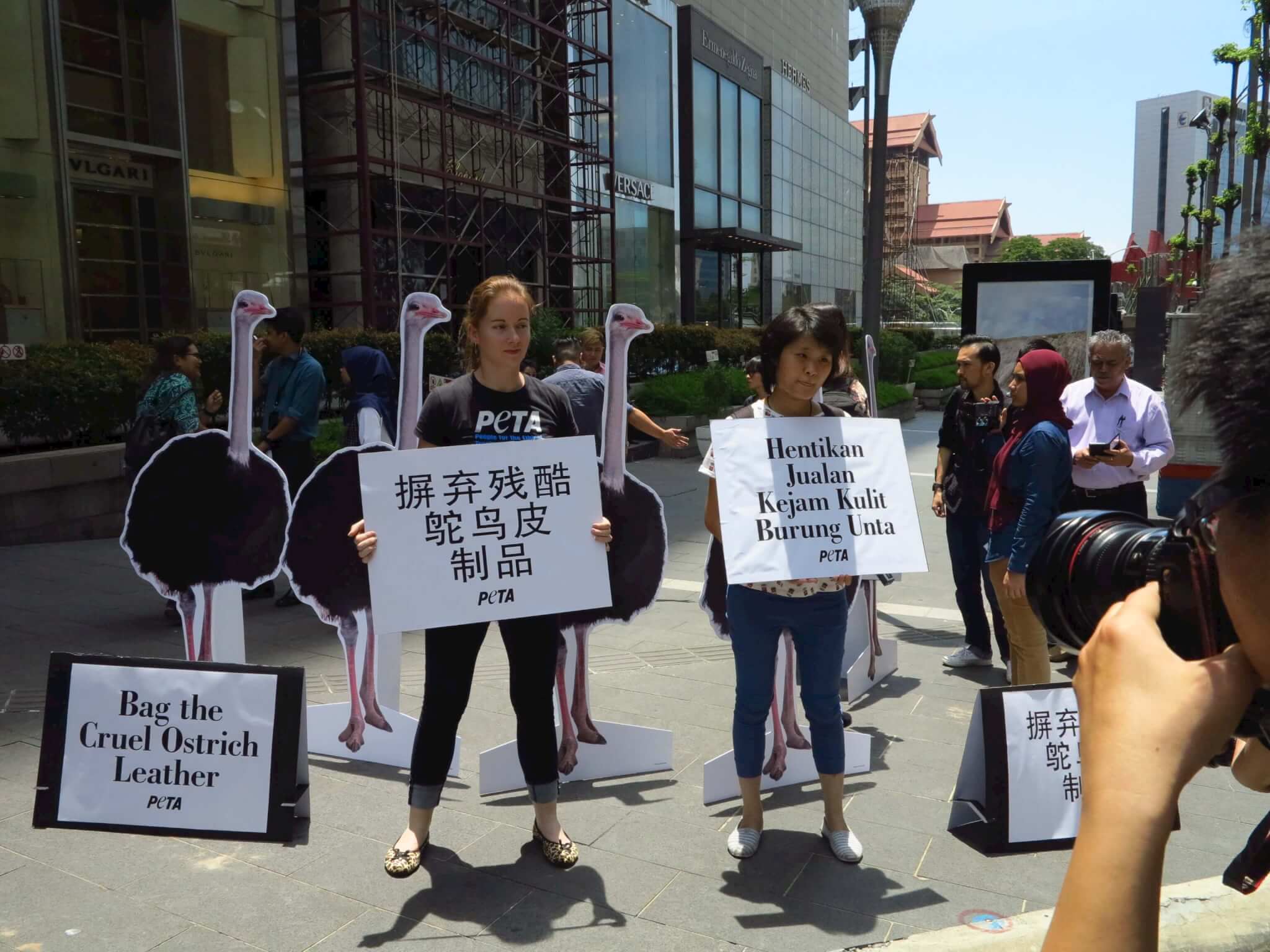 PHOTOS: Ostriches Protest In Front of Prada and Hermès Stores in Kuala Lumpur