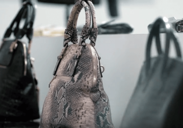 PETA Exposes the Cruelty Behind Crocodile Skin Bags