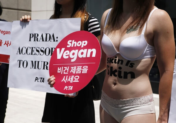 PHOTOS: Nearly Naked Protester’s Message: Skin Is Skin