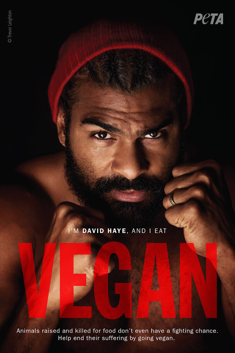 Vegan Boxing Champion David Haye Fights for Animals