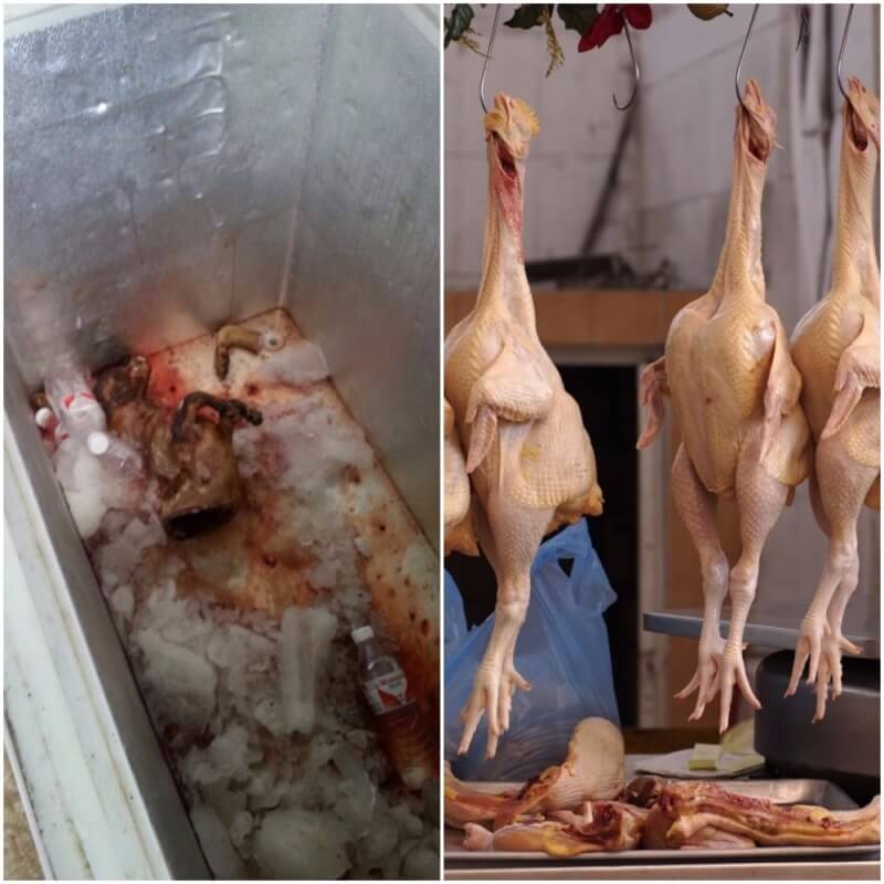 Yulin_dead_dog_chickens