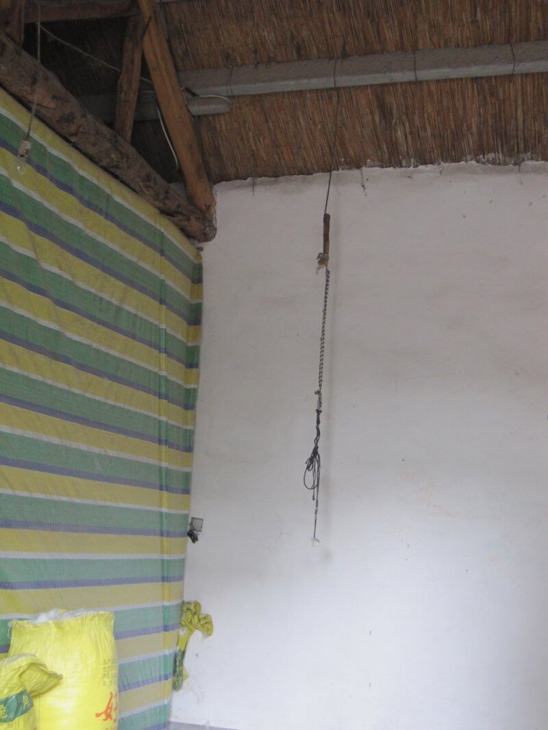 At one site, a rope used for suspending “problem animals” by their forelimbs in order to pluck or shear them more easily dangled from the ceiling.