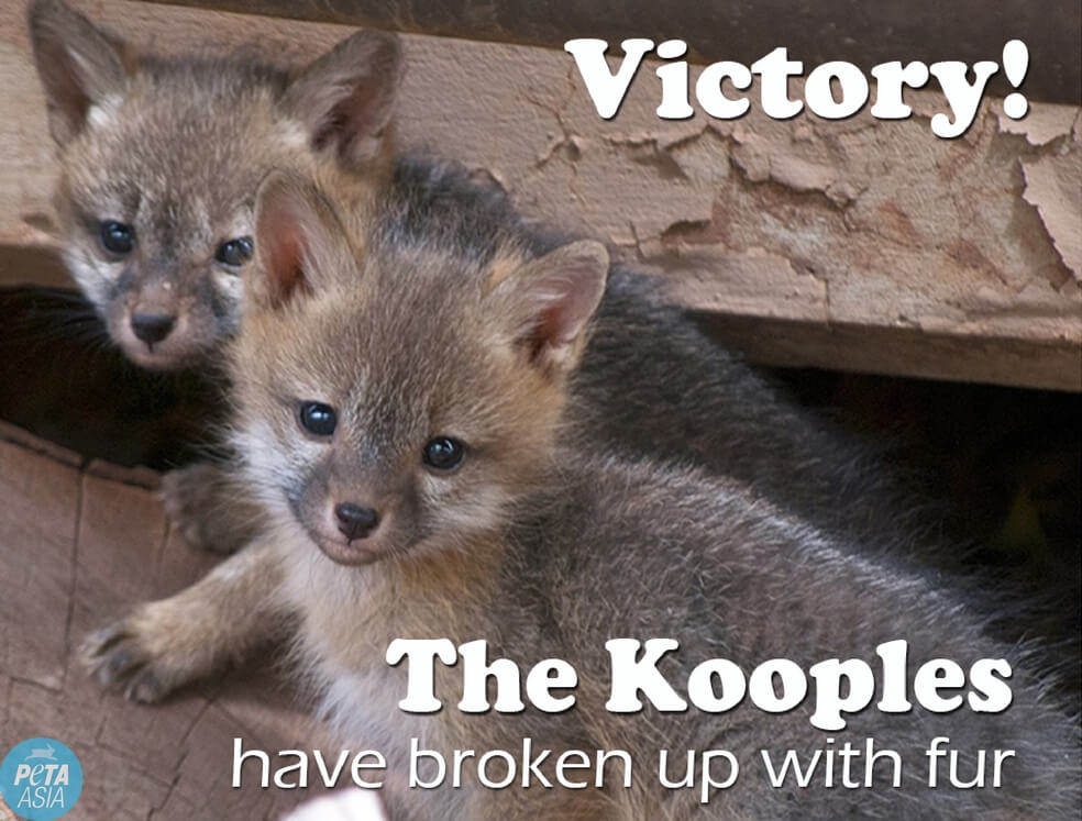 victory-kooples-fur-free-1