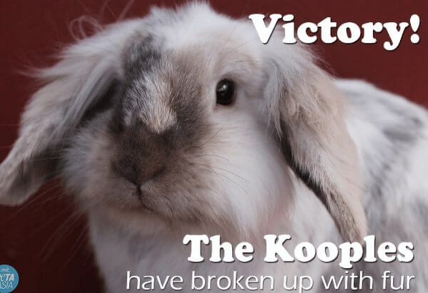 VICTORY: The Kooples Goes Fur-Free!