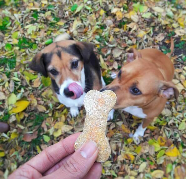 pumpkin-and-peanut-butter-halloween-dog-treats-1