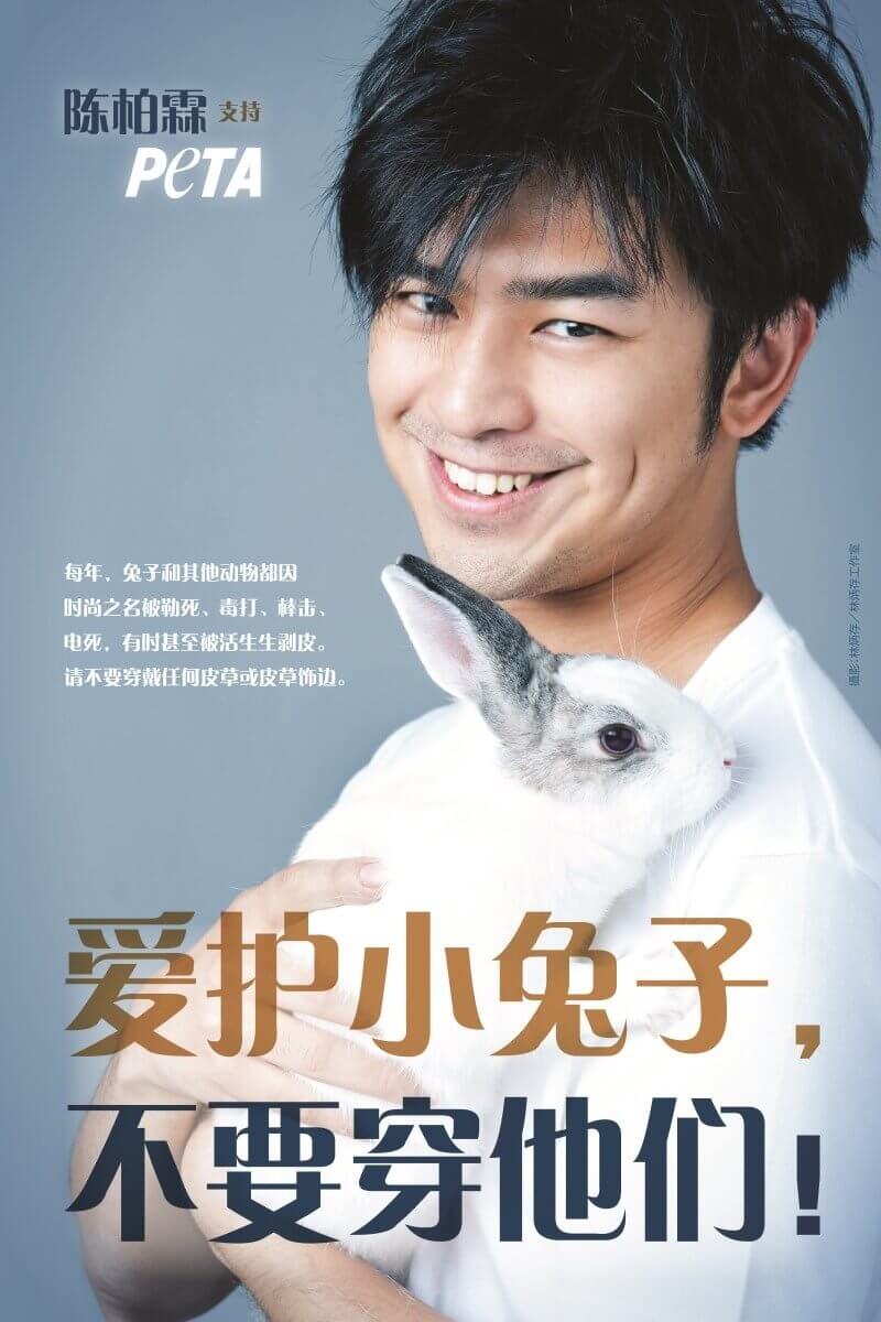 bo-lin-chen-bunny-sc-300-peta-asia