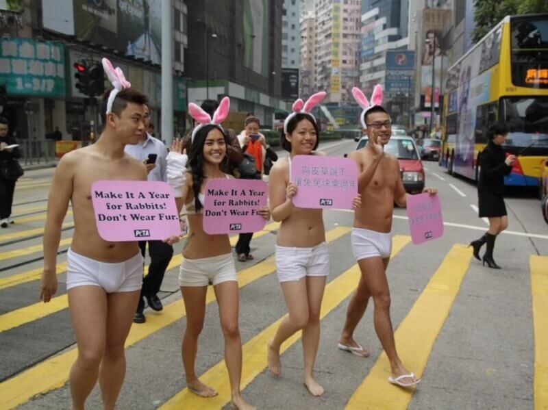 hk-fur-bunny-demo-peta-asia