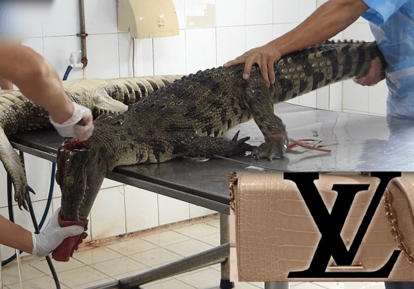 PETA Puts Louis Vuitton on Blast—Using Animal Skins Is Not Humane