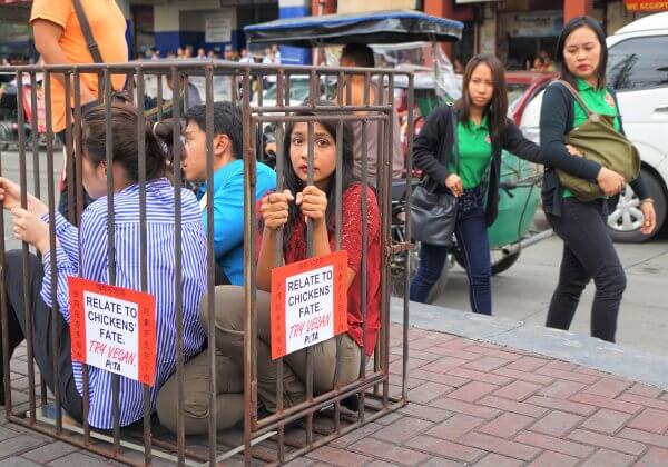 PHOTOS: PETA Members Confined to Cage for #YearOfTheChicken