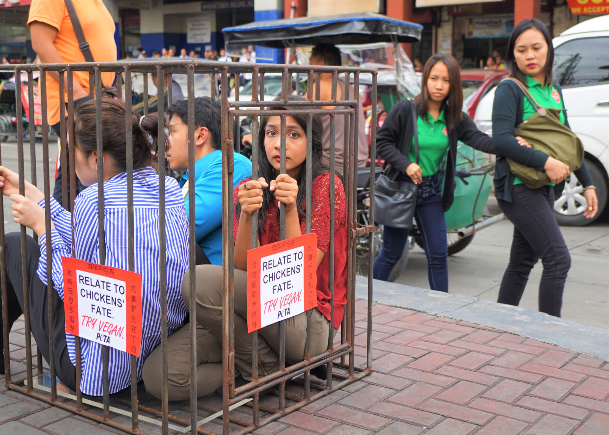 PHOTOS: PETA Members Confined to Cage for #YearOfTheChicken