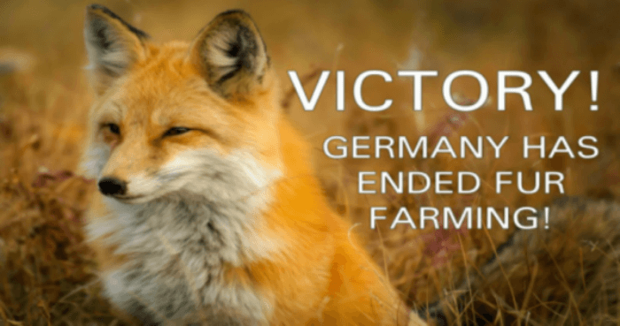 Germany Says Goodbye to Fur Farming