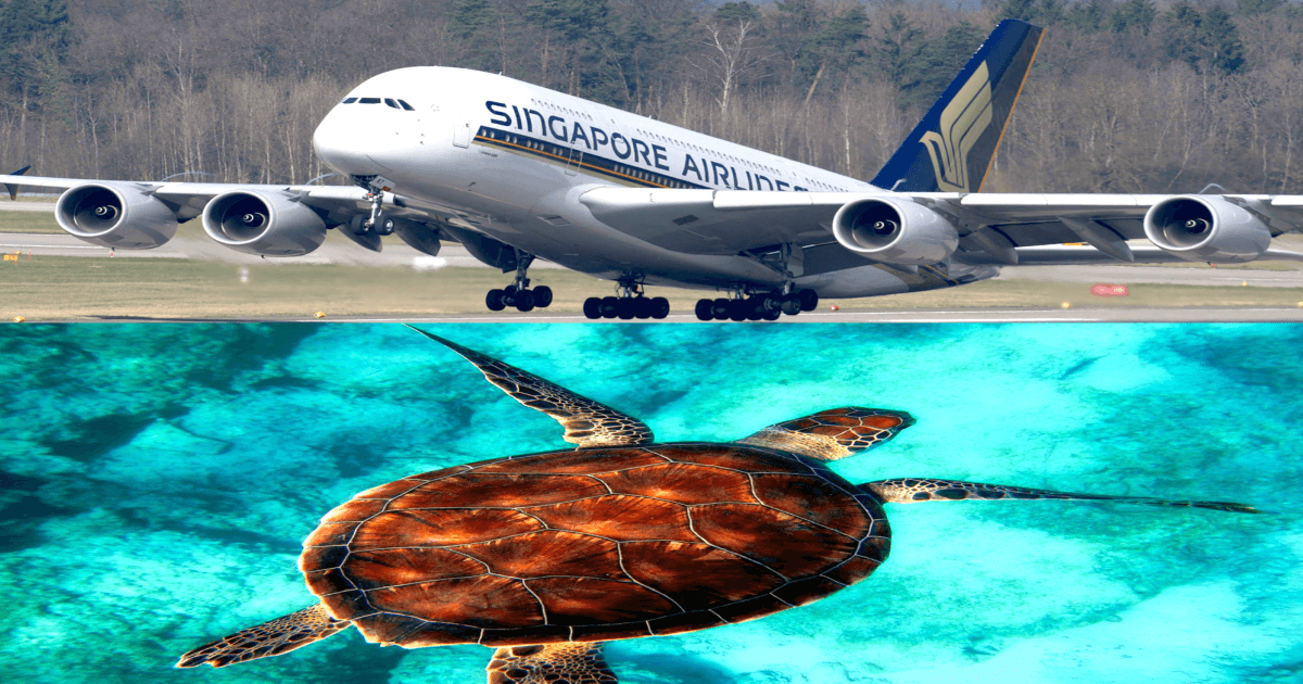 Singapore Airlines Takes a Stand Against Wildlife Trafficking