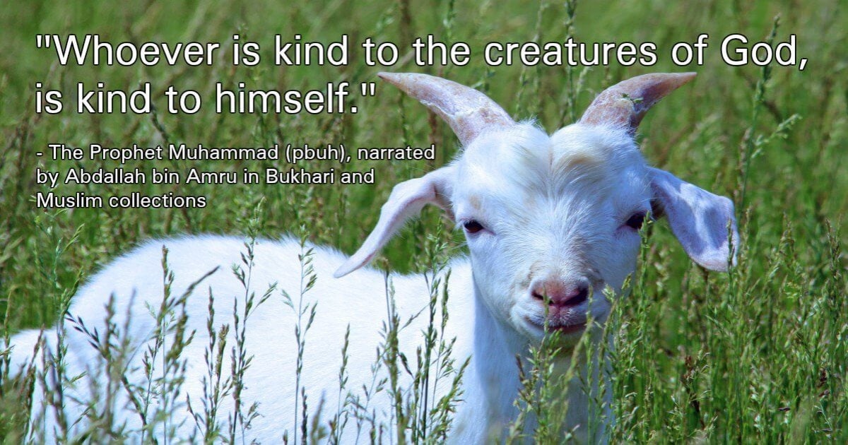 Animal Sacrifice: Not Needed at Any Time - PETA Asia Animal Sacrifice: Not Needed at Any Time - PETA Asia